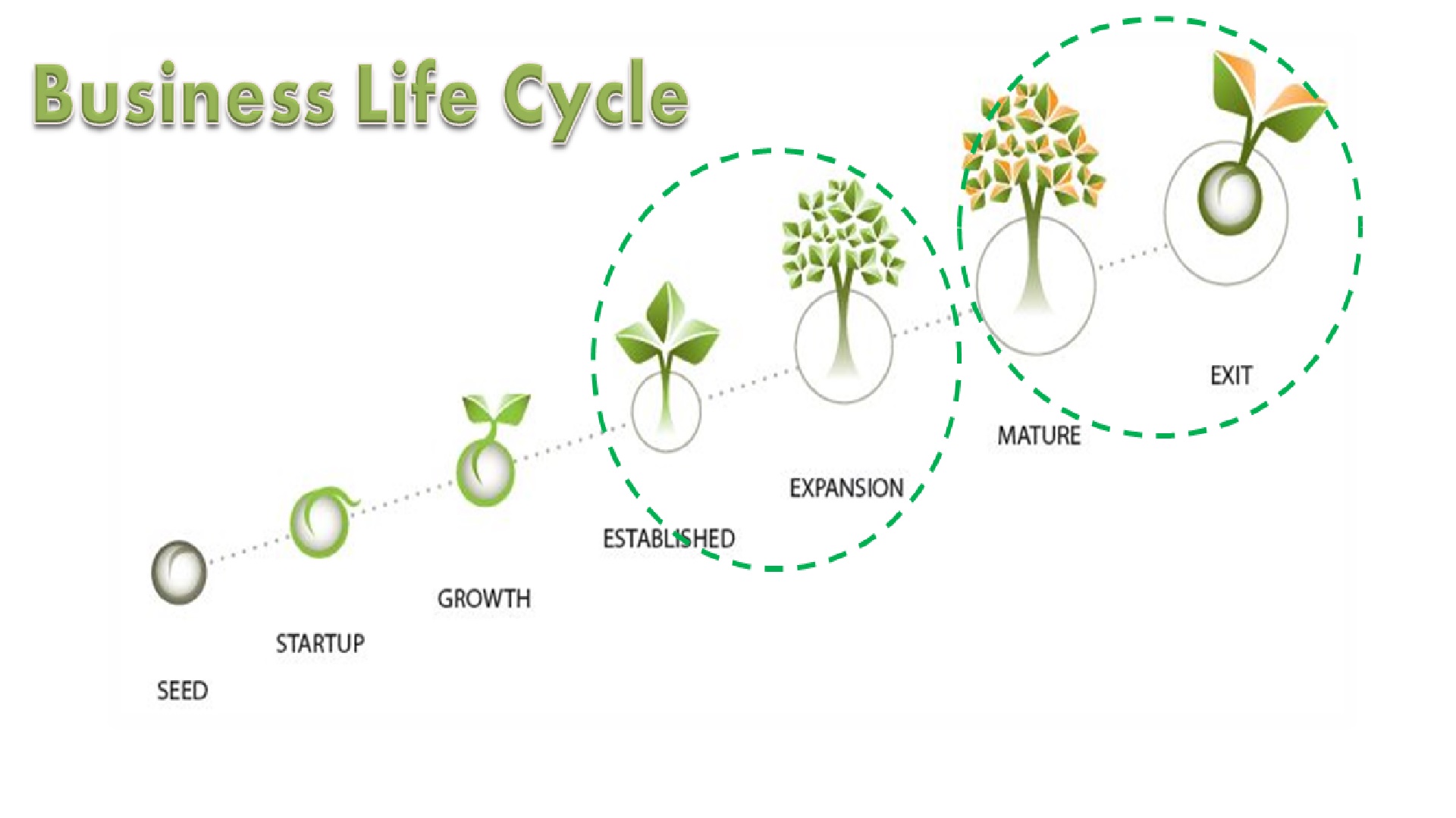 Business Advisory Business Life Cycle Advisory S And S Associates 1316